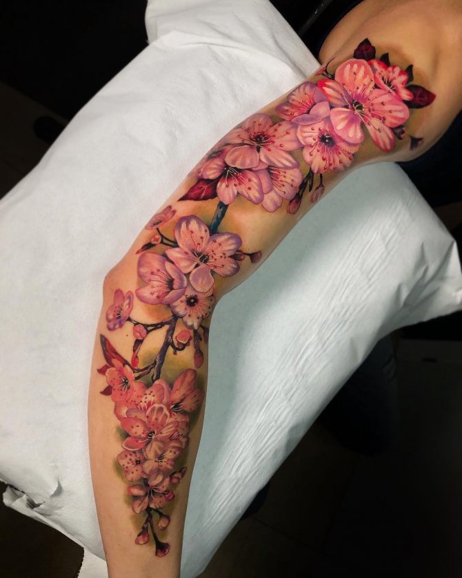 Manchon Sakura avec fleurs lumineuses
