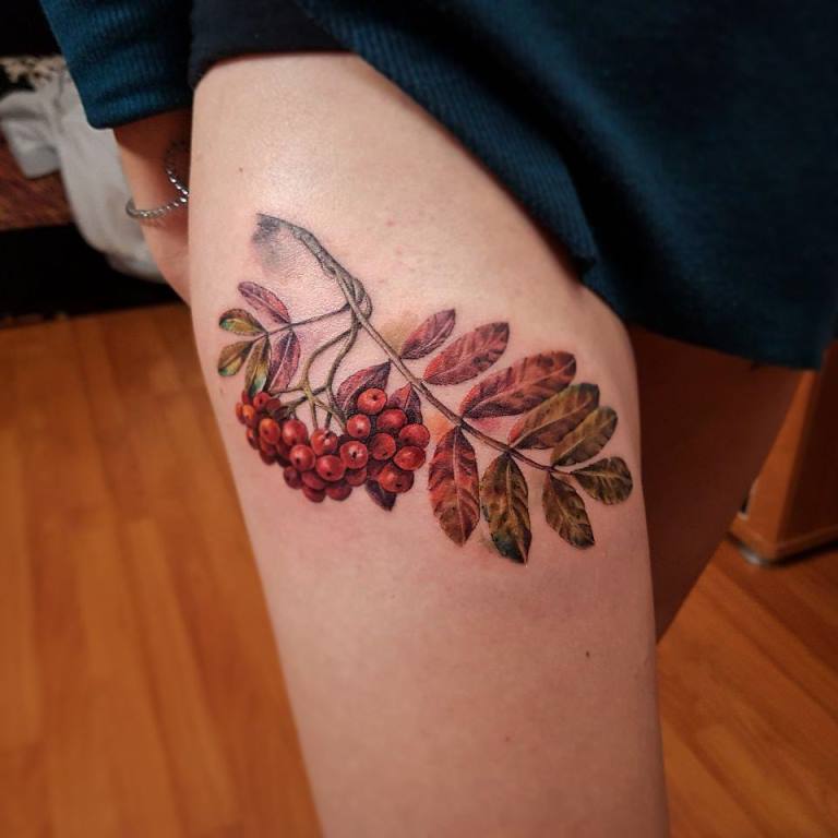 tatouage de frêne des montagnes