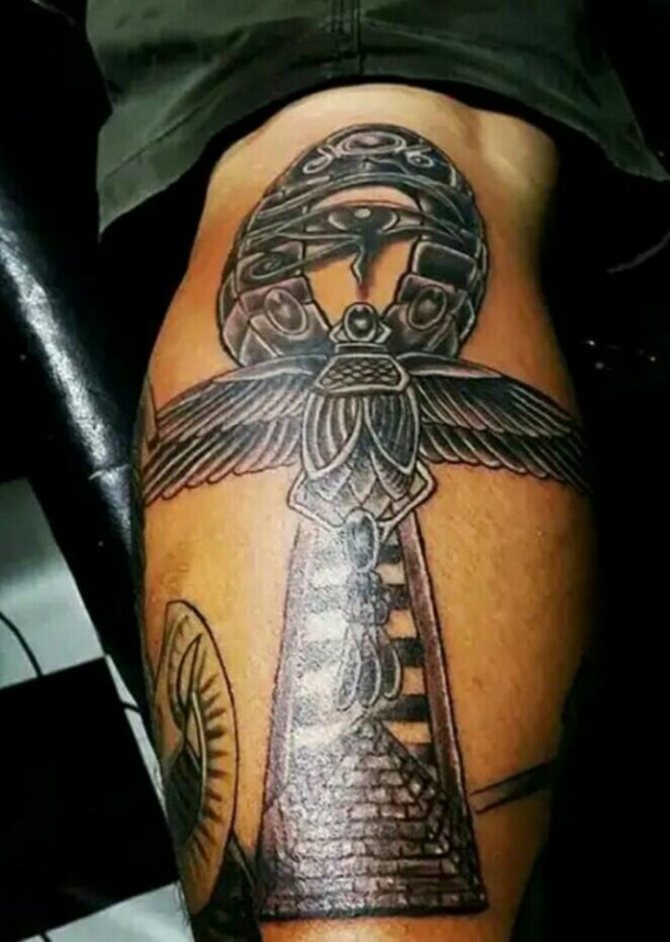 Signes de chevalier