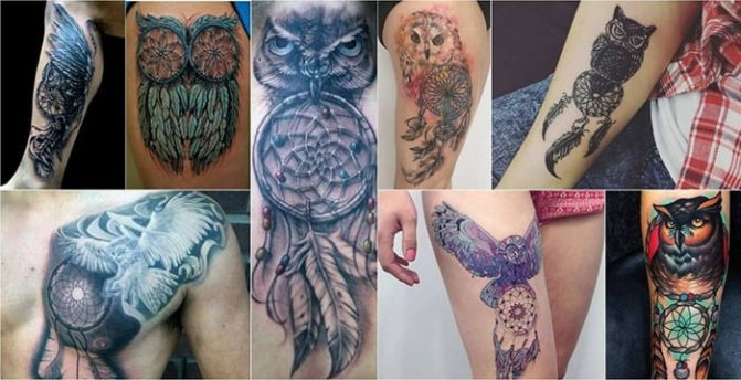 Avec un hibou