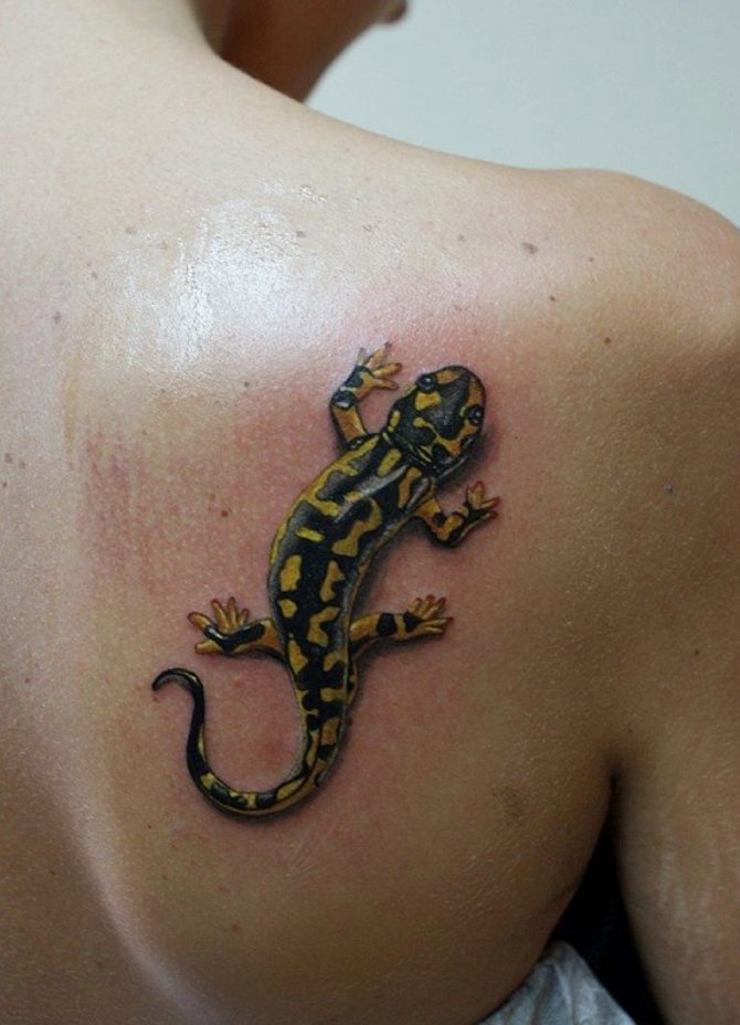 Un tatouage de salamandre pour un homme habitué à conquérir