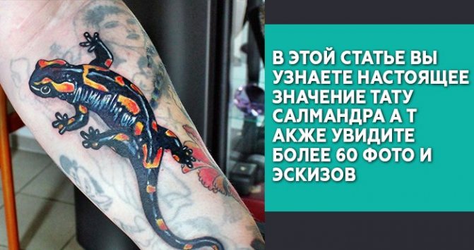 Signification du tatouage de la salamandre