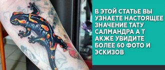 Tatouage de la salamandre