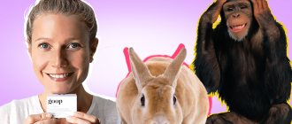 Le sel : voici l'essentiel, le reste est à déguster - Beauté pure : pourquoi une nouvelle tendance beauté en plein essor ?