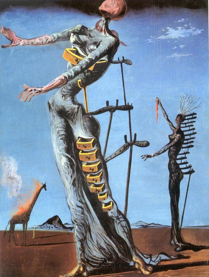 Salvador Dali : photos avec description