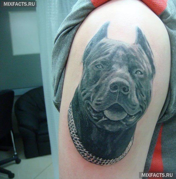 Les tatouages les plus populaires pour les hommes et leurs significations