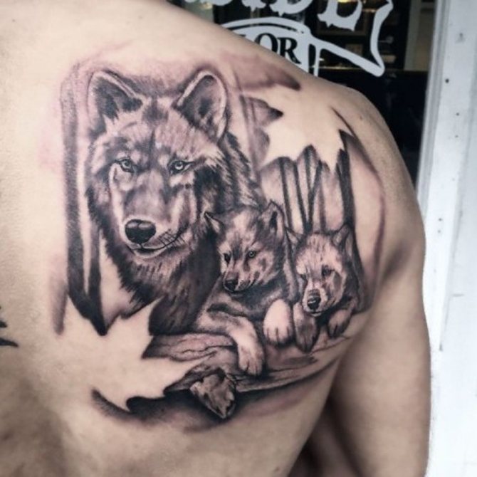 La famille Wolf