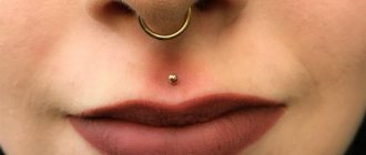 Piercing du septum - technique de perçage, comment choisir bagues, boucles d'oreilles et autres bijoux, photos de travail amusantes