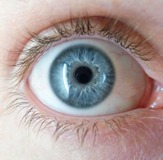 gris bleu clair (700x686, 521Kb)