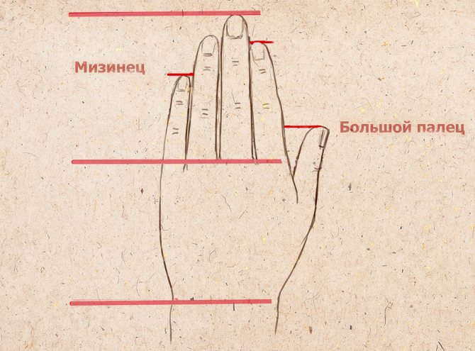 Dessin schématique d'une brosse