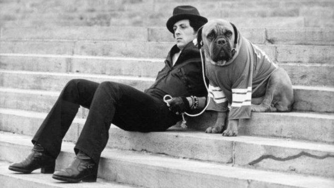 sylvester stallone biographie hommes dégoûtants