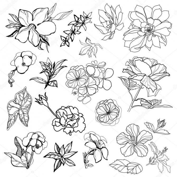 Des croquis mignons pour des tatouages de fleurs