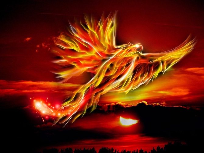 symbole du phénix