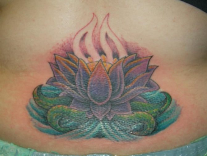 Fleur de lotus lilas