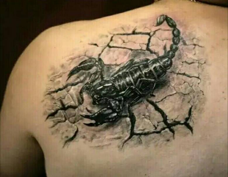 Scorpion sur l'épaule
