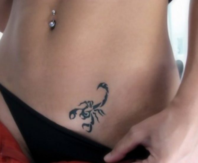 Scorpion