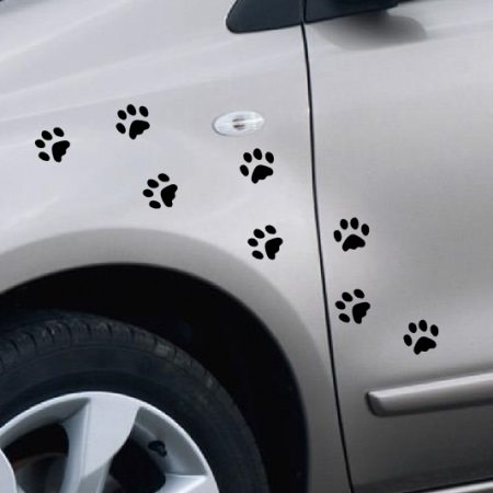 Empreintes de pattes de chat
