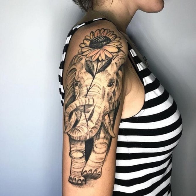 symbole de l'éléphant