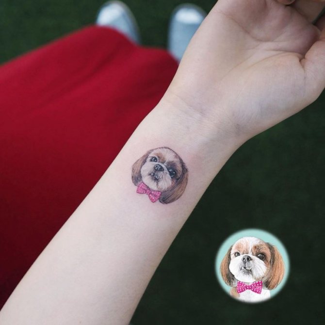 Les personnes âgées peuvent se faire tatouer