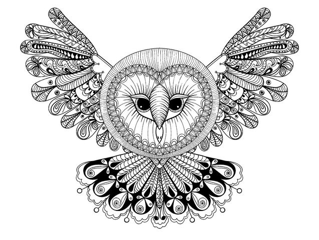 hibou volant