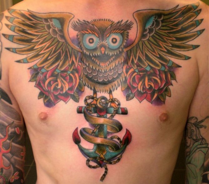 hibou