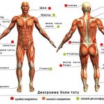 Conseils : Lieux de tatouage