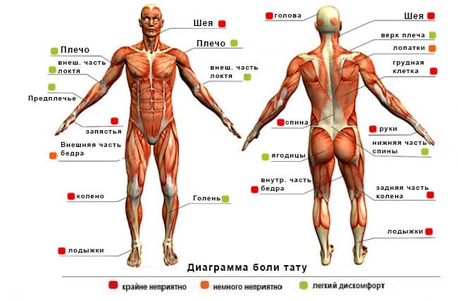 Conseils : Conseils : Lieux de tatouage