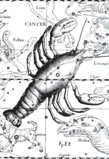 La constellation du Cancer. Illustration de l'atlas astronomique Uranographia I. Hévélius
