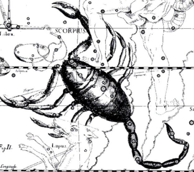 La constellation du Scorpion. Illustration de l'atlas astronomique Uranographie de J. Hevelius. Hevelius.