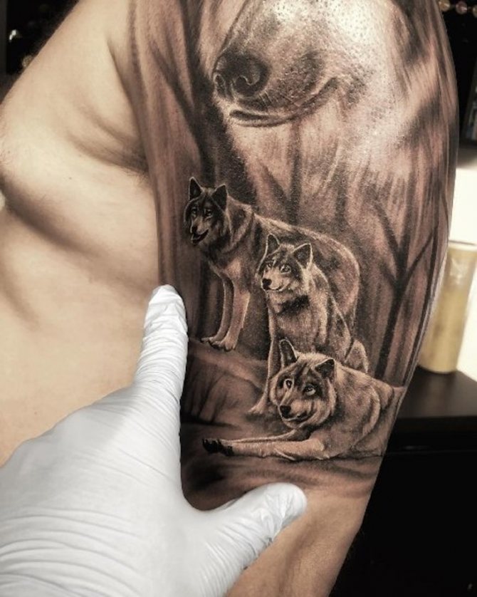 Meute de loups