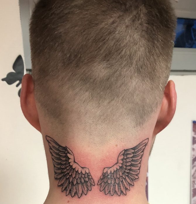 Voici à quoi ressemblent les ailes du tatouage à l'arrière du cou d'un homme.