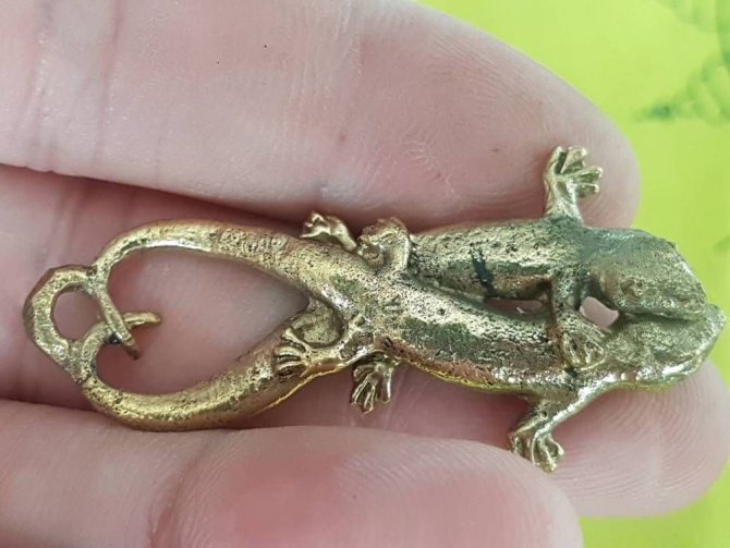 mascotte du lézard