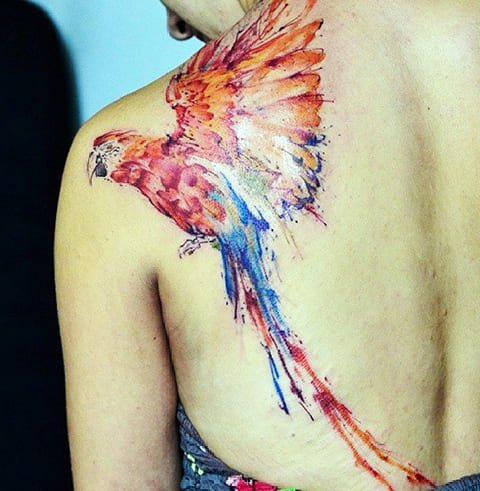 Tatouage perroquet aquarelle sur l'omoplate et le dos