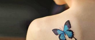 signification du tatouage du papillon