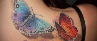 Tatouage de papillons