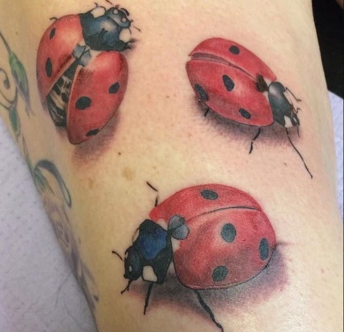 Signification du tatouage de la coccinelle pour les hommes