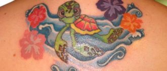 tortue tatouée