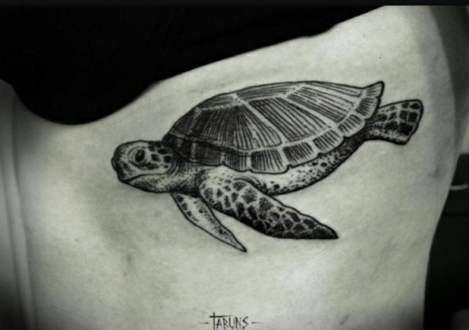 tatouage de tortue