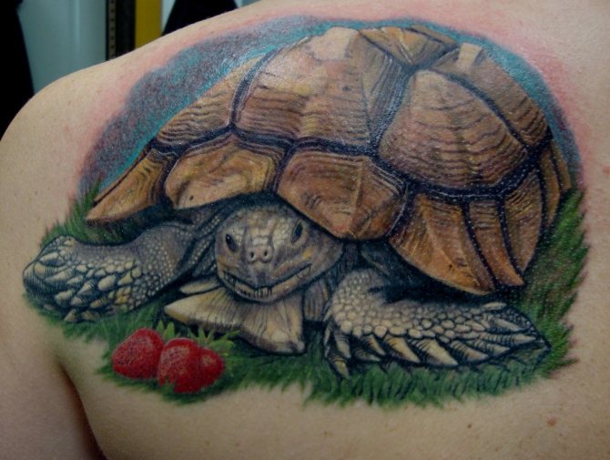 tatouage de tortue