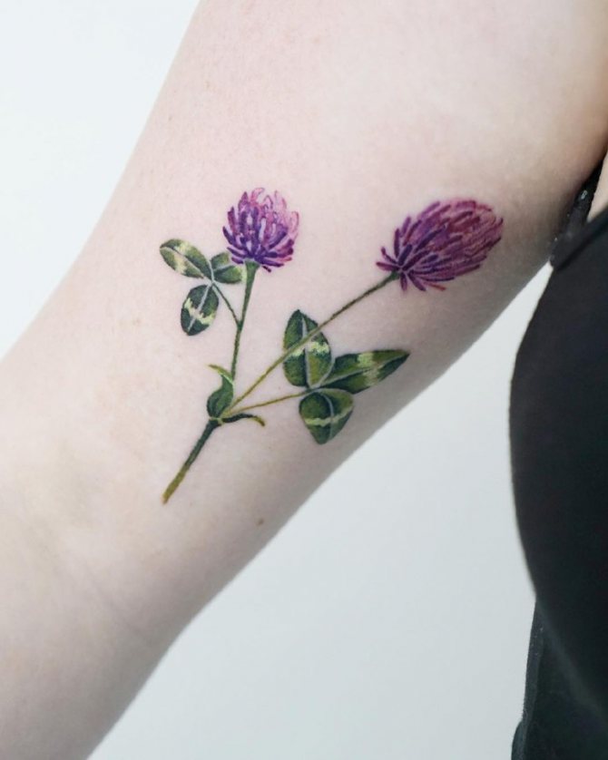 Tatouage d'une fleur de trèfle