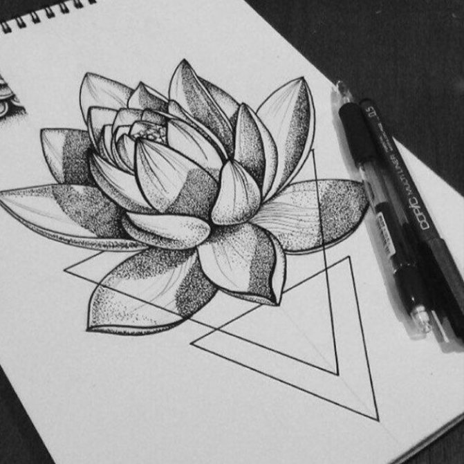 dessin de la signification du tatouage de la fleur de lotus
