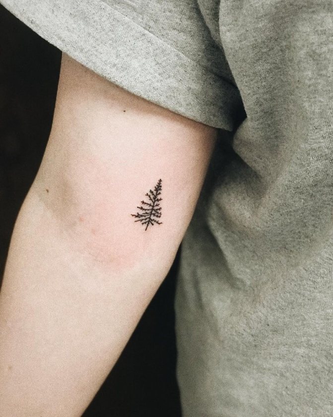 Arbre de tatouage - Arbre de tatouage - Arbre de tatouage - Arbre de tatouage pour hommes - Arbre de tatouage pour hommes