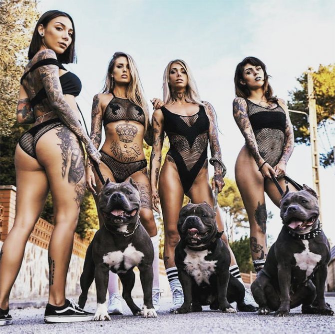 Fille tatouée avec un chien
