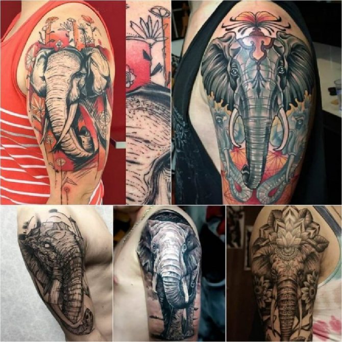 Tatouages significatifs pour hommes - Tatouages significatifs pour hommes - Tatouage d'éléphant pour hommes