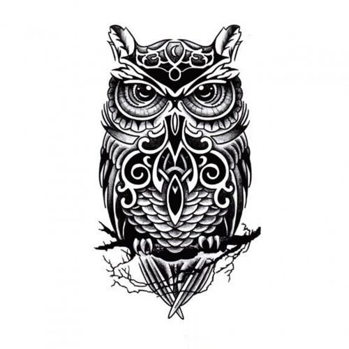 Tatouage mâle noir et blanc, croquis de hibou