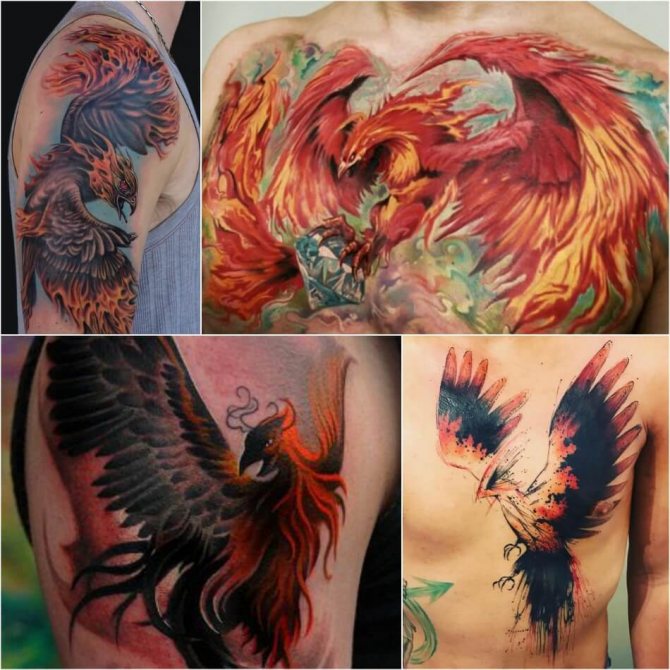 Tattoo Phoenix - Tatouage masculin de Phoenix - Tatouage de Phoenix pour homme
