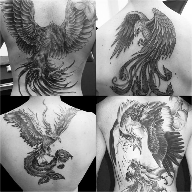 Tattoo Phoenix - Tatouage de Phoenix pour homme - Tatouage de Phoenix pour homme