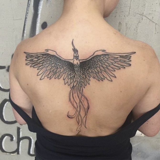 se faire tatouer un phénix dans le dos