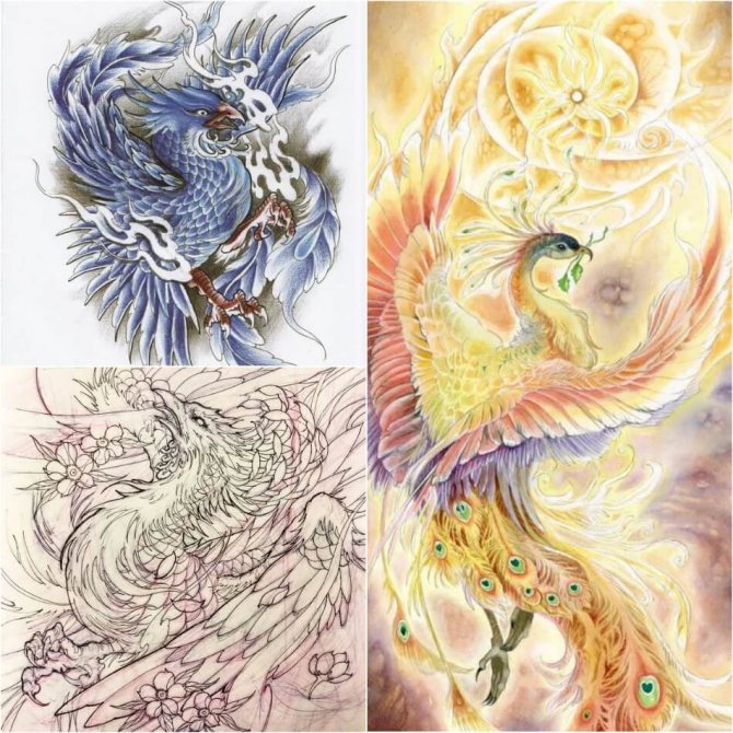 Tattoo Phoenix - Croquis de tatouage Phoenix - Croquis de tatouage Phoenix