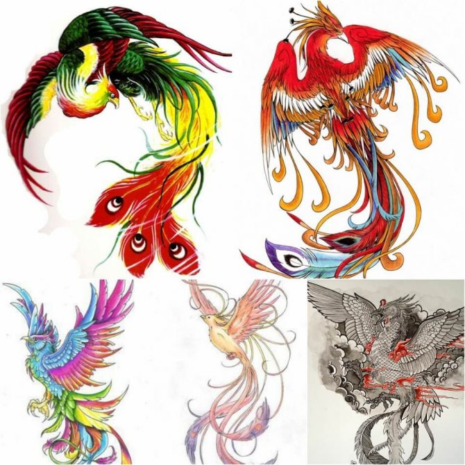 Tattoo Phoenix - Croquis de tatouage Phoenix - Croquis de tatouage Phoenix